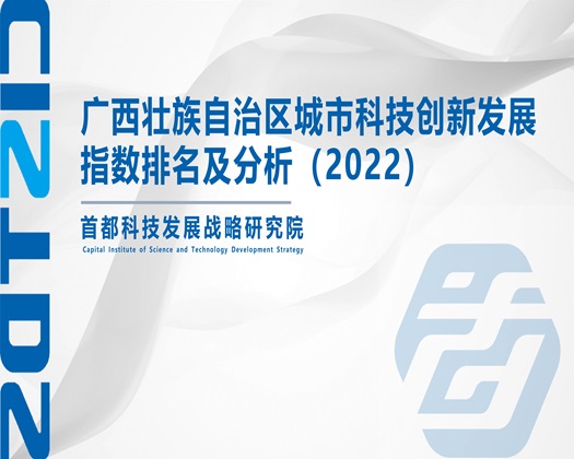 大胸舔舔花蕊床戏【成果发布】广西壮族自治区城市科技创新发展指数排名及分析（2022）